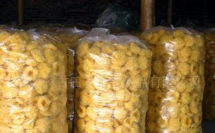 產地直銷，品質無憂 古田銀耳（白木耳）的農副產品魅力