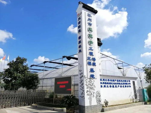 紓難解困，精準服務 賦能農副產品企業高質量發展